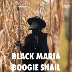BLACK MARIA, by Boogie Snail, is mixed and mastered by www.bsmastering.com