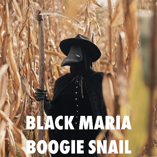 BLACK MARIA, by Boogie Snail, is mixed and mastered by www.bsmastering.com