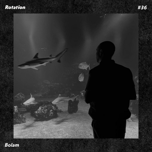 Rotation 036: Bolam