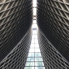 Tai-gi