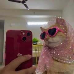 💕🎀✨🌈