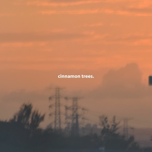cinnamon trees. [bump]