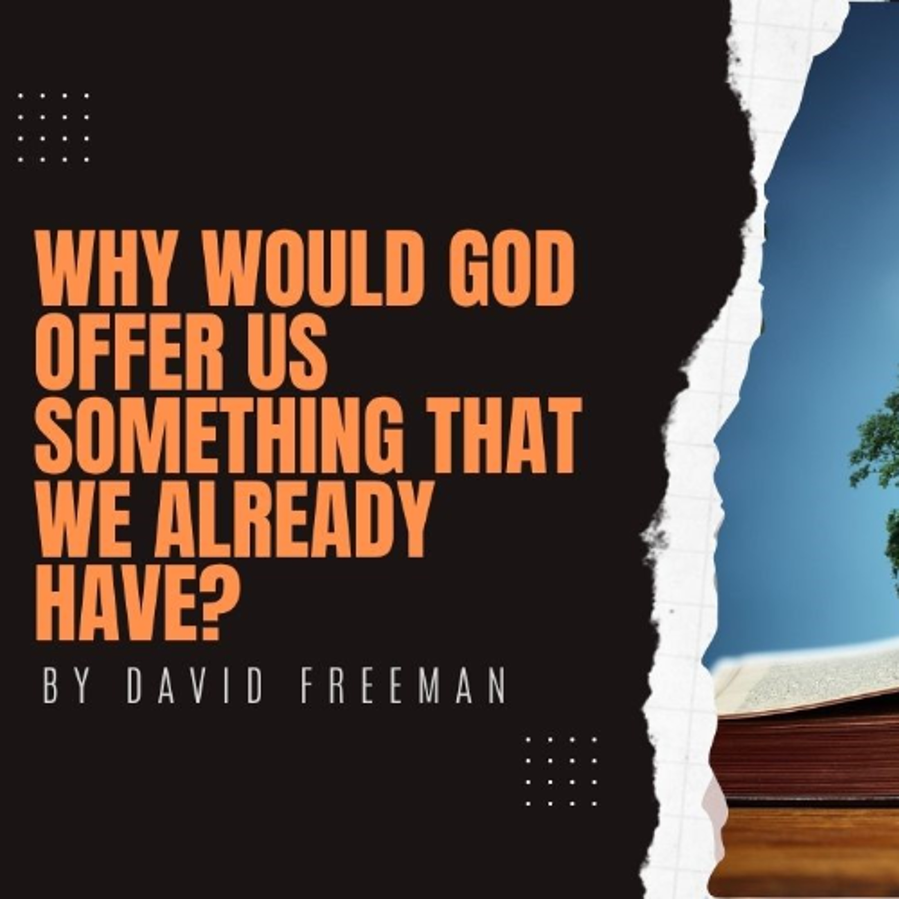 Is That Rally In The Bible? 3-Why would God offer us something that we already have? By David Freeman episode artwork