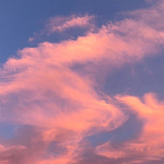 Roots (Kubbi Inspired Demo)