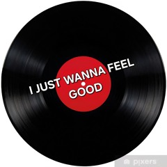 I Just Wanna Feel Good