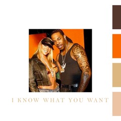 I Know What You Want (Fonty Remix)