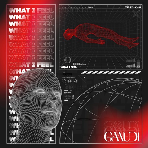 GAAUDI - WHAT I FEEL