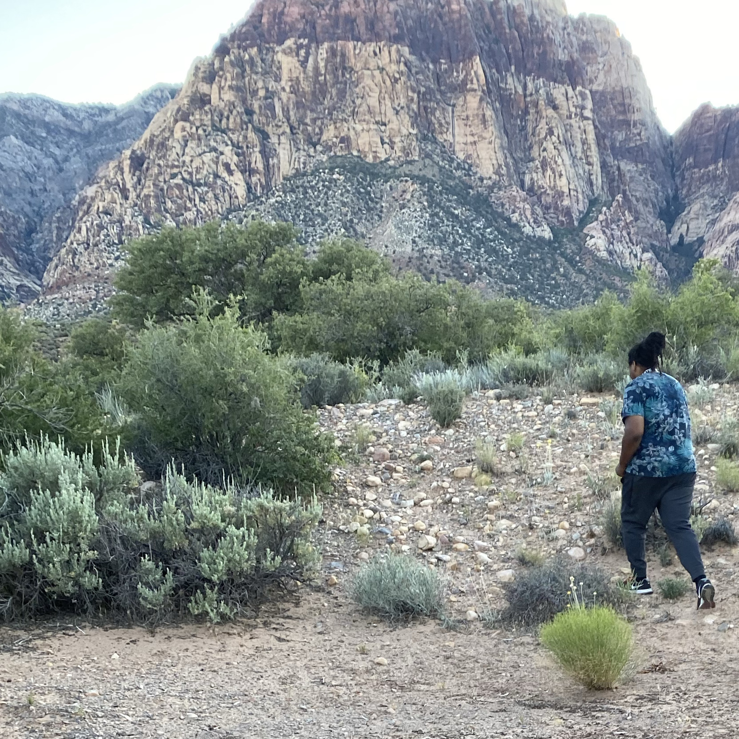 Grand Canyon episode artwork