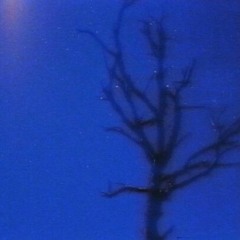 i've been doing well - txmmy flip (slowed)