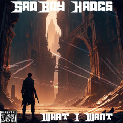 What I Want (Freestyle)