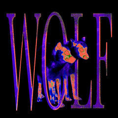 WOLF SQUIRI