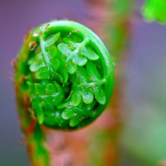 Positively Almost (3-2-2016)