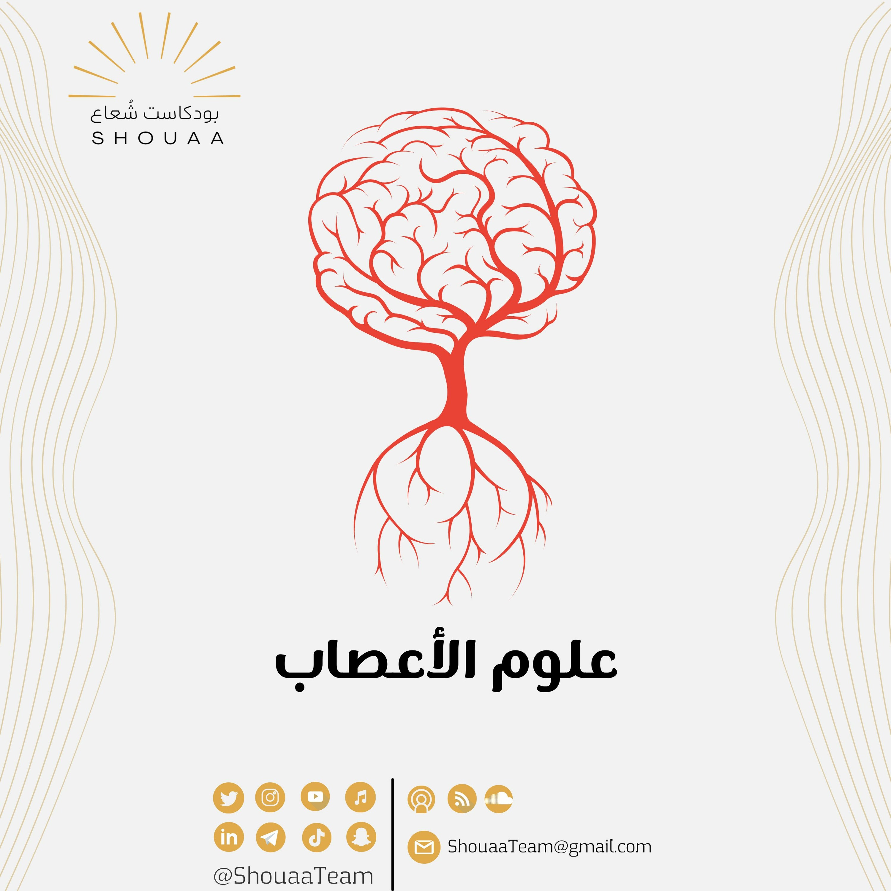 تخصص علوم الأعصاب - Neuroscience