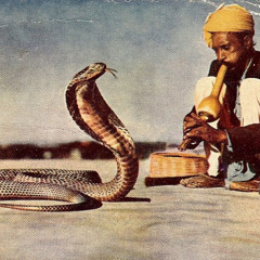 snakes prod me