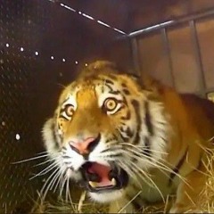 what in the reeses peanut butter fuck is going on here? let's rewind