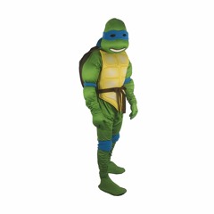 Kostenurki Ninja Surcetup Minimix