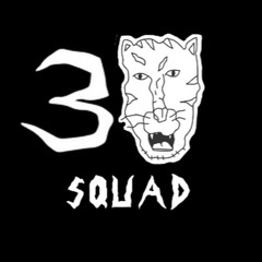 НОКТУ, RAYBAX - 3 КОТА