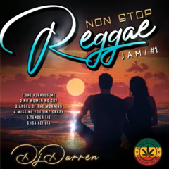 DJ Darren - NONSTOP REGGAE JAM