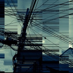 부정(negative)