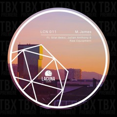 Premiere: M.James - Talks Like Nina (Julian Anthony & Raw Equipment Remix) [Lacuna Recordings]