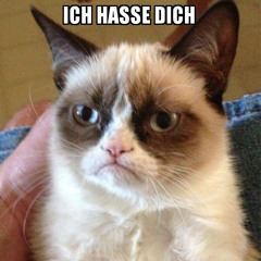 KIDS - ICH HASSE DICH