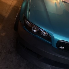 Boofin (Nova Chance)