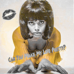 Can You Make My Life Pretty? (Remix)