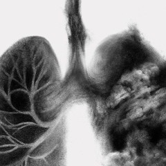 diseases (Prod. Genshin)