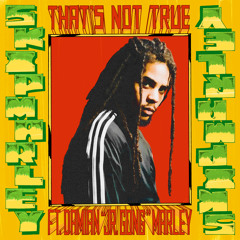 That's Not True (feat. Damian "Jr. Gong" Marley)