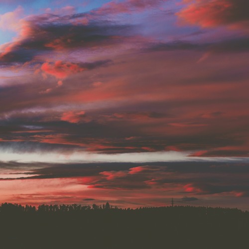 Bucky - Violet Skies