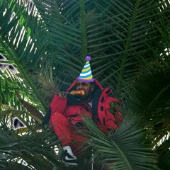 miss me with that birthday