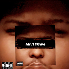 Mr.110we