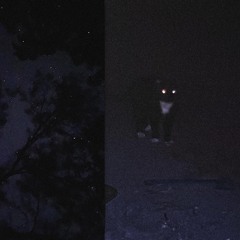 phases ft. JUIC3 L33