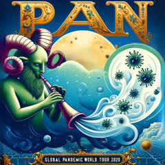 The Pan In Pandemic (Pink Heart 2020)