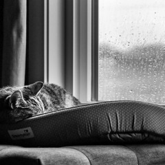 Sleeping While It's Raining