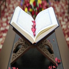 تلاوات منوعة