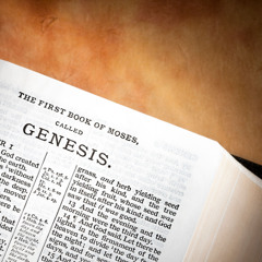 Genesis 1