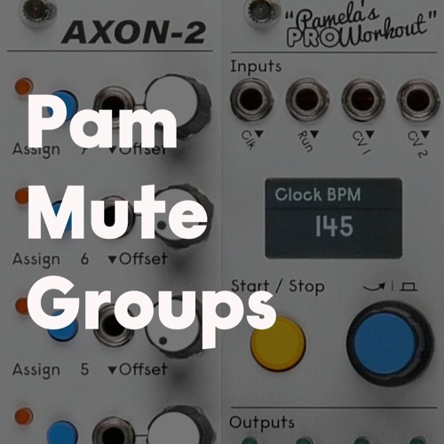 Pam Mute Groups