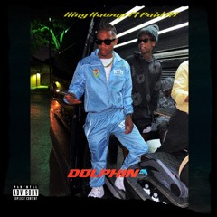 Dolphin (feat. Paid a1)