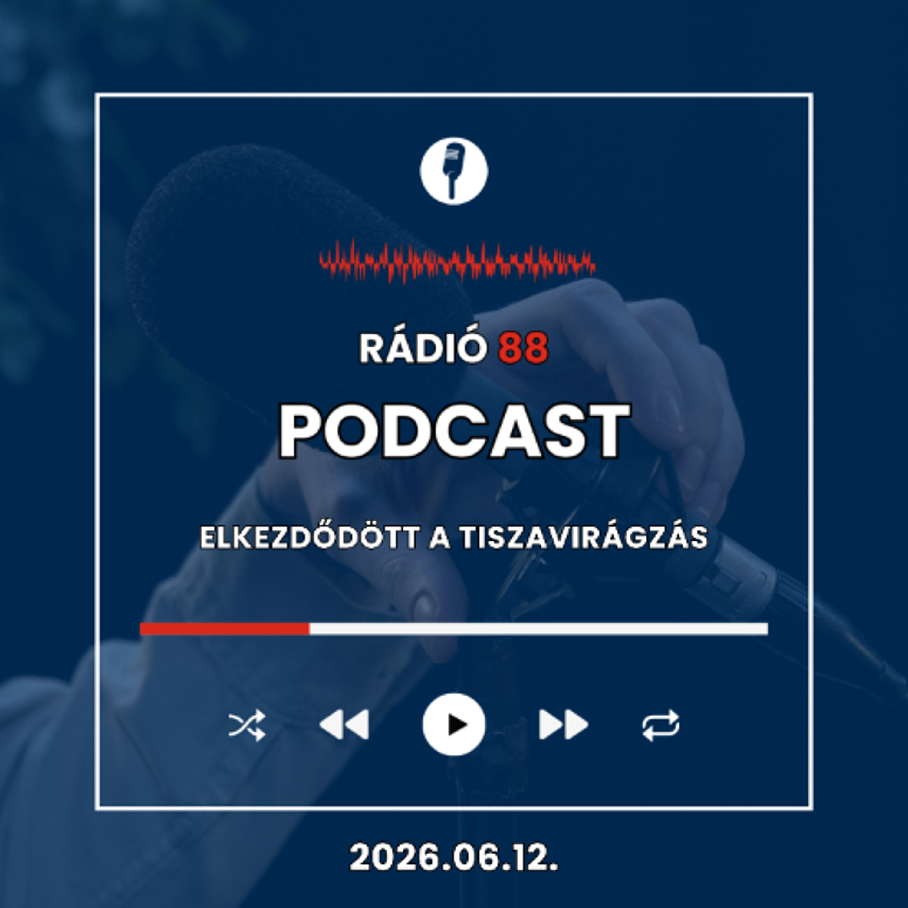 Elkezdődött a tiszavirágzás | Café88 [2026.06.12.] episode artwork