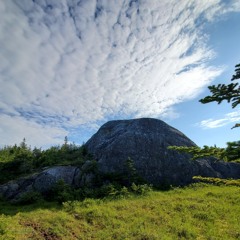 Mystically Moving (2020)