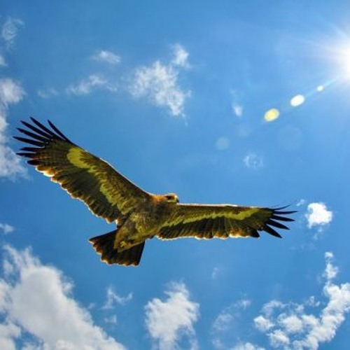 Рэп Мэн В Облаках