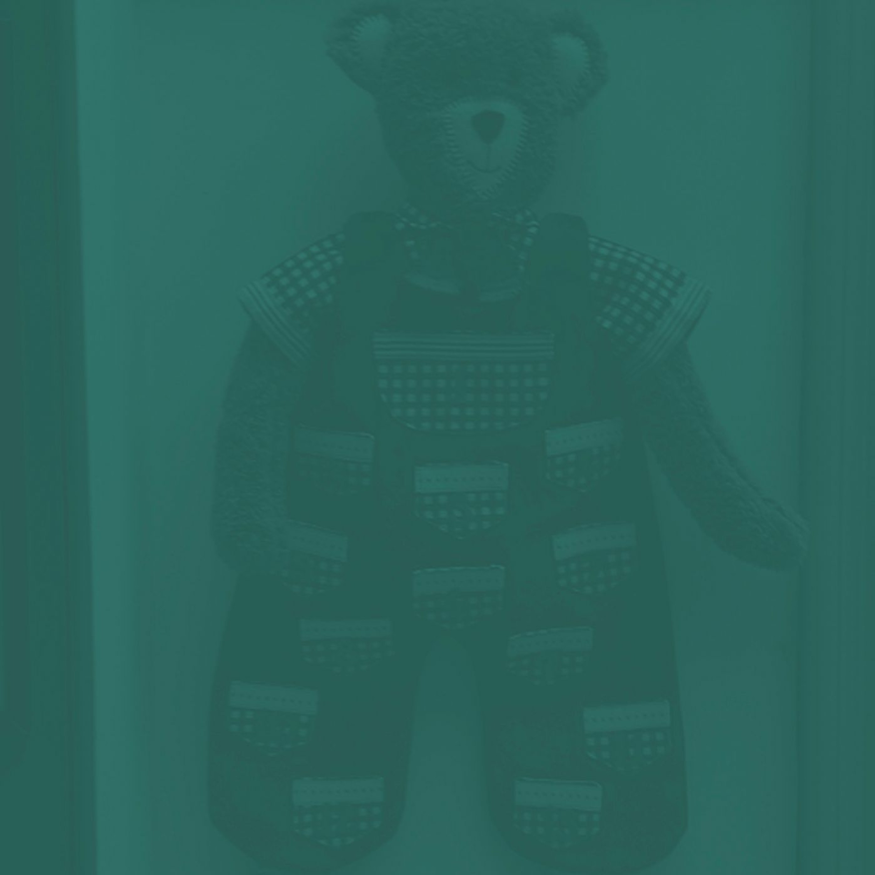 Teaganbear