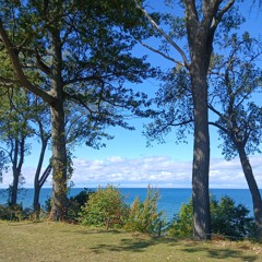 ocean waves (prod snorkatje)