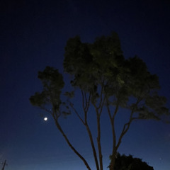 shade of blue (autrioly)