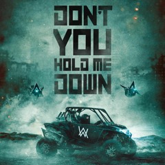 Alan Walker & Georgia Ku - Don't You Hold Me Down (NVMEX Remix)