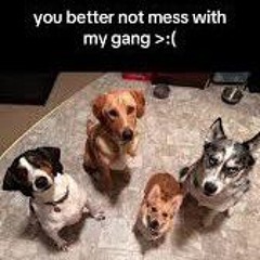my gang