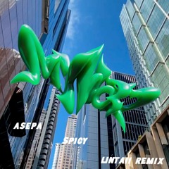 aespa - Spicy (LINTAII Remix)