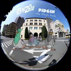 Osnizzle - Pidgin 101 (Flamboyant Ent. blend)