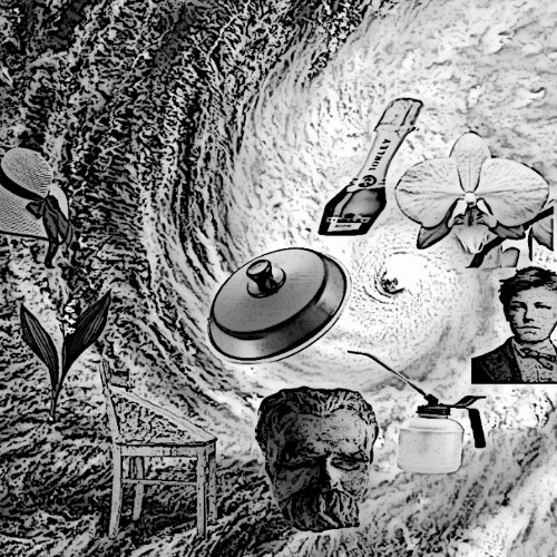 after the typhoon-naviarhaiku598